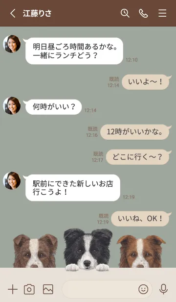 [LINE着せ替え] ワンワン -ボーダーコリー- グリーングレーの画像3