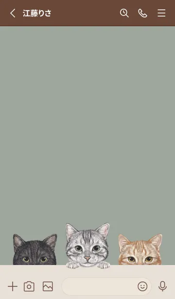 [LINE着せ替え] 猫！ - アメショ - グリーングレーの画像2