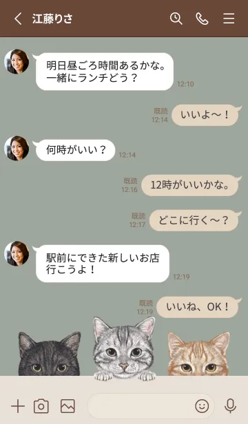 [LINE着せ替え] 猫！ - アメショ - グリーングレーの画像3