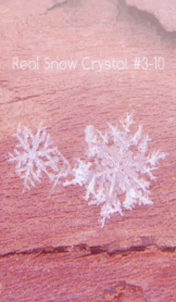 [LINE着せ替え] Real Snow Crystal #3-10の画像1