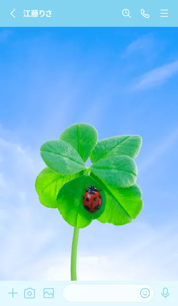 [LINE着せ替え] 本物ラッキークローバー & Ladybird #4-10の画像2