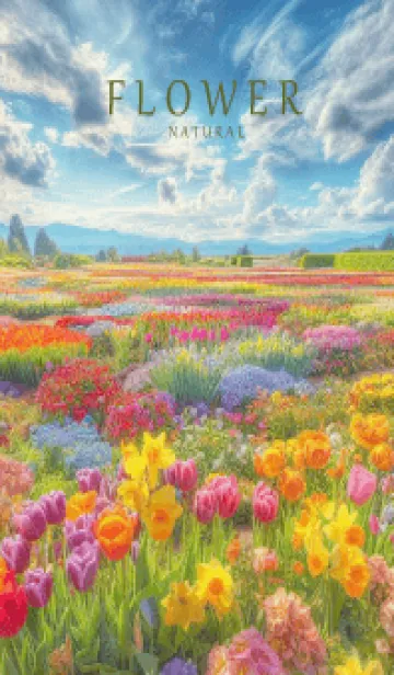 FLOWER GARDEN -Happy-70の着せ替えメイン画像