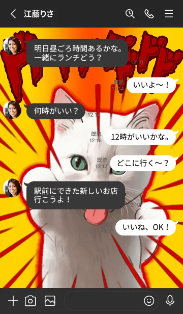 [LINE着せ替え] 面白い猫 あなたを殴るの画像3