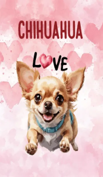 [LINE着せ替え] Chihuahua InLove Theme 3 (JP)の画像1