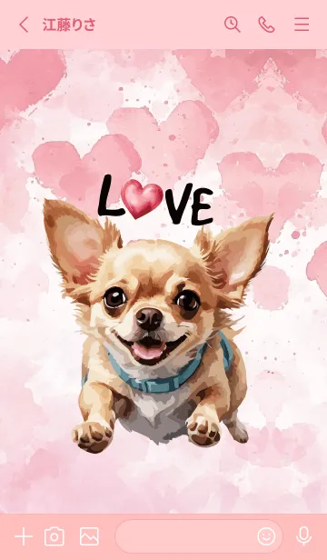 [LINE着せ替え] Chihuahua InLove Theme 3 (JP)の画像2