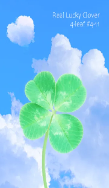 [LINE着せ替え] 本物ラッキークローバー 4-leaf #4-11の画像1