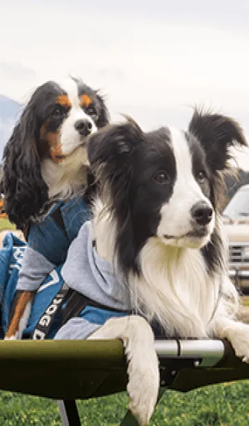 [LINE着せ替え] Emma&Watsonの画像1