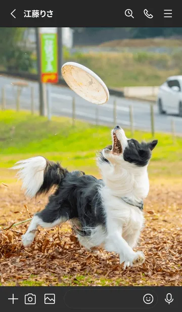 [LINE着せ替え] Emma&Watsonの画像2