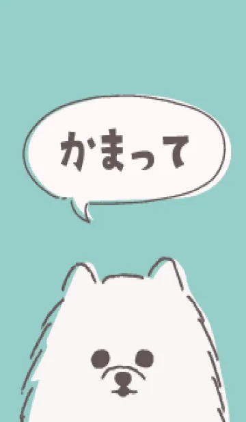 [LINE着せ替え] かまってほしい白ぽめ 今日も健やか2の画像1