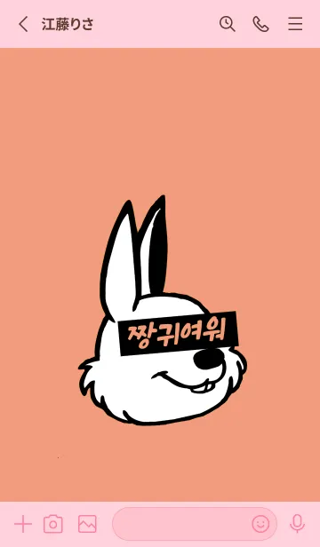 [LINE着せ替え] KOREA RABBIT THEME 127の画像2