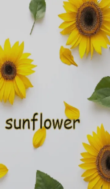 [LINE着せ替え] sunflower theme theme(Jp)の画像1