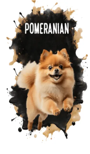 Cute Pomeranian Cool Theme (JP)の着せ替えメイン画像