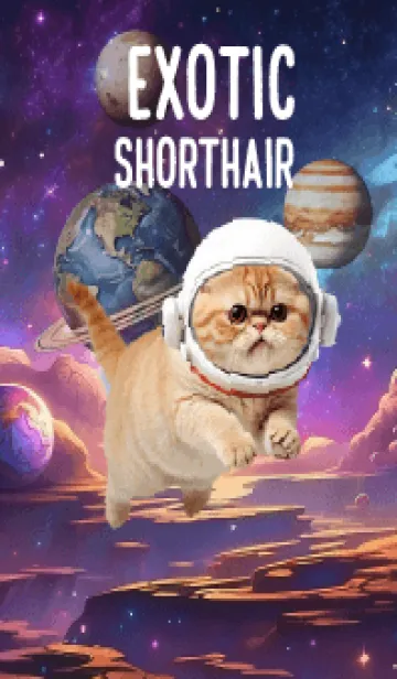 [LINE着せ替え] Exotic Shorthair In Galaxy Theme (JP)の画像1