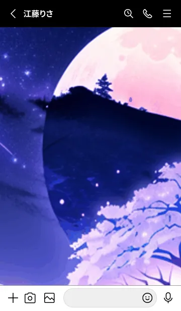 [LINE着せ替え] 冬のサクラ #BWHN06。の画像2