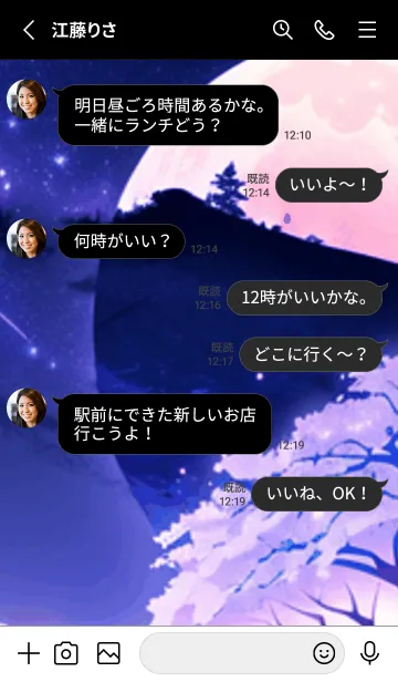 [LINE着せ替え] 冬のサクラ #BWHN06。の画像3