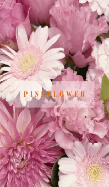 [LINE着せ替え] PINK FLOWER -NATURAL-73の画像1