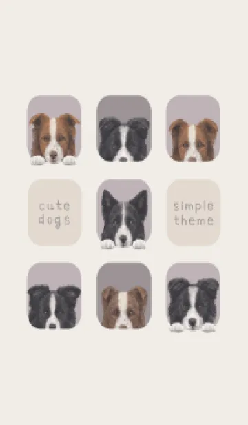 [LINE着せ替え] DOGS - ボーダーコリー - パープルグレーの画像1