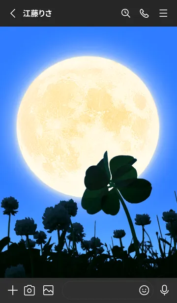 [LINE着せ替え] 7-Leaf Clover & Full Moon #5-8の画像2