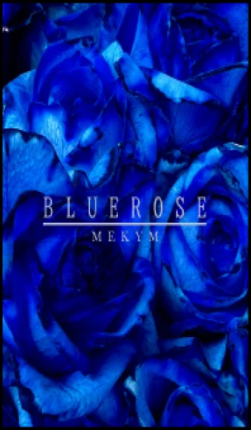 [LINE着せ替え] BLUE ROSE -MEKYM- 16の画像1