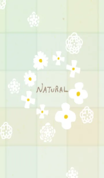 [LINE着せ替え] 白い花 チェック柄の画像1