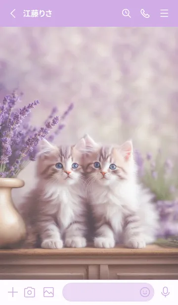 [LINE着せ替え] 猫とラベンダー♡ Purpleの画像2