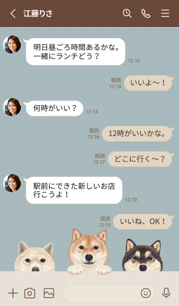 [LINE着せ替え] ワンワン！- 柴犬 - ブルーグレーの画像3