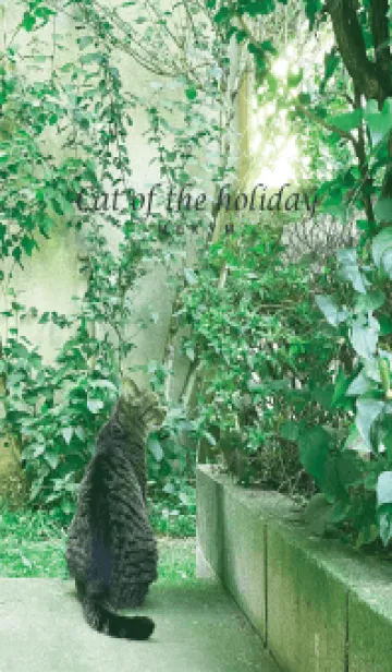 [LINE着せ替え] Cat of the holiday-GREEN 4の画像1