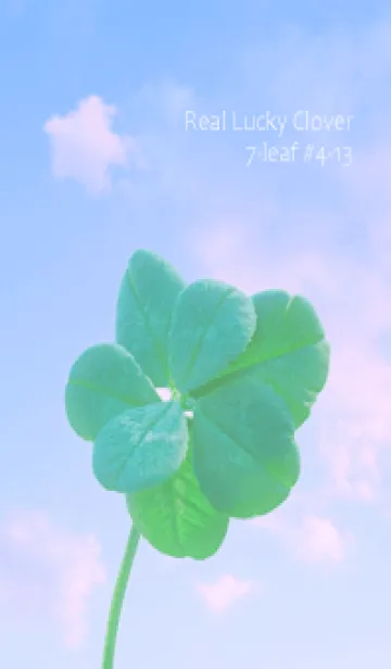 [LINE着せ替え] 本物ラッキークローバー 7-leaf #4-13の画像1