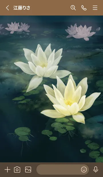 [LINE着せ替え] 睡蓮nymphaeaの画像2