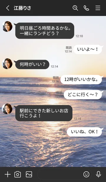 [LINE着せ替え] CalmReflection 33の画像3