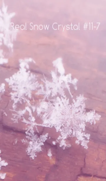 [LINE着せ替え] Real Snow Crystal #11-7の画像1