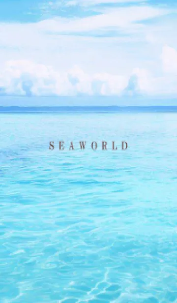 [LINE着せ替え] SEA WORLD-Hawaii 45の画像1
