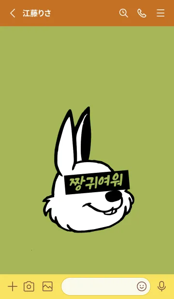 [LINE着せ替え] KOREA RABBIT THEME 129の画像2