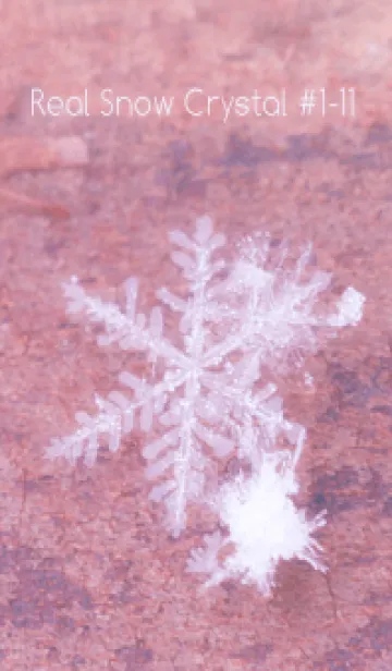 [LINE着せ替え] Real Snow Crystal #1-11の画像1