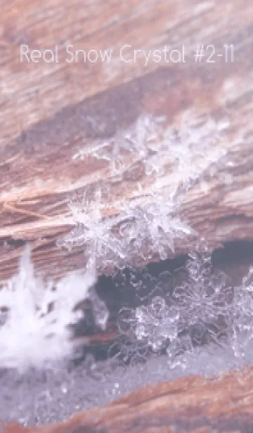 [LINE着せ替え] Real Snow Crystal #2-11の画像1