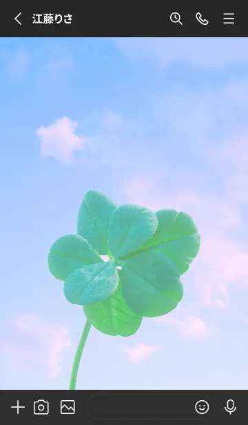 [LINE着せ替え] 本物ラッキークローバー 7-leaf #4-14の画像2