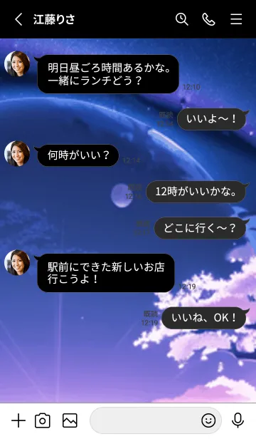 [LINE着せ替え] 冬のサクラ #BaDHJ016。の画像3