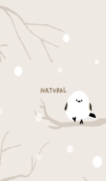 [LINE着せ替え] シマエナガ 雪11の画像1