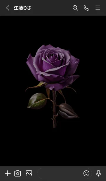 [LINE着せ替え] Purple roses on a black background(JP)の画像2