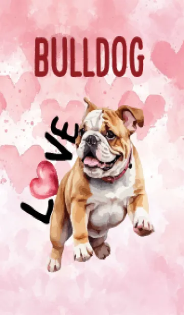 [LINE着せ替え] Bulldog InLove Theme 3 (JP)の画像1