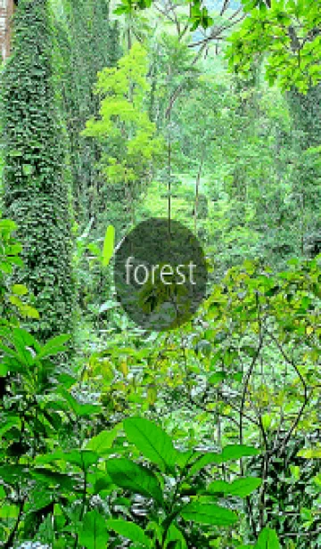 [LINE着せ替え] Oil Painting Forest Manoa 20の画像1