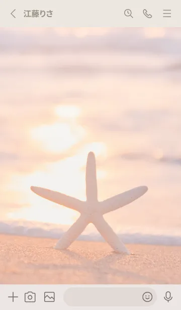 [LINE着せ替え] BeachStar 41の画像2