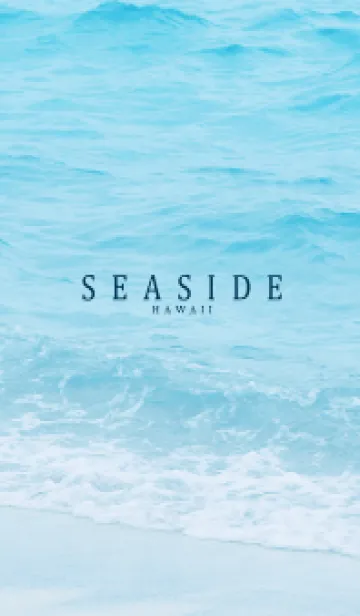 SEASIDE HAWAII-MEKYM 18の着せ替えメイン画像