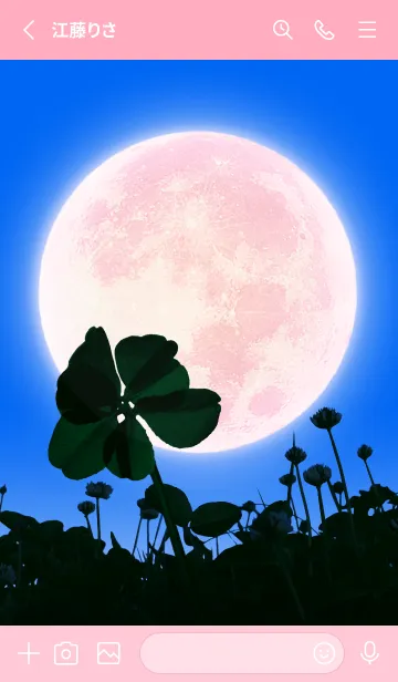 [LINE着せ替え] 7-Leaf Clover & Full Moon #6-9の画像2