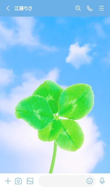 [LINE着せ替え] 本物ラッキークローバー 5-leaf #4-14の画像2