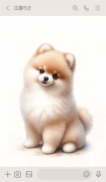 [LINE着せ替え] 水彩で描いた 可愛いポメラニアン 02の画像2