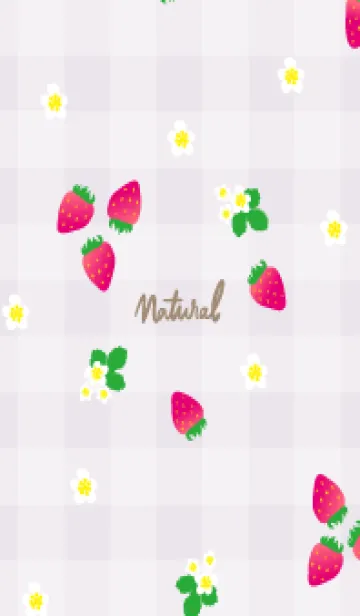 [LINE着せ替え] 苺 チェック柄7の画像1