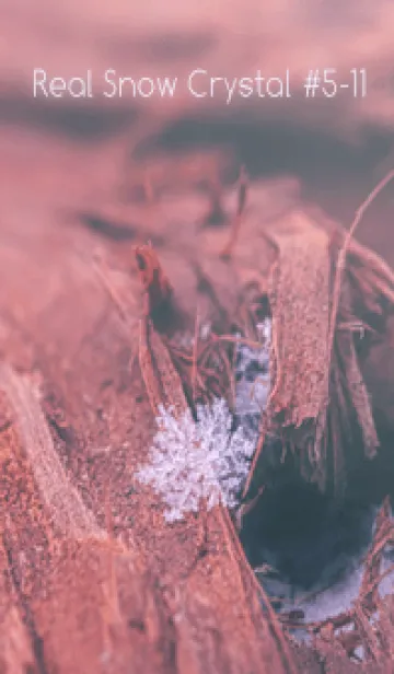 [LINE着せ替え] Real Snow Crystal #5-11の画像1