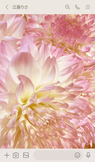 [LINE着せ替え] DAHLIA-Pink Beige Flower 53の画像2