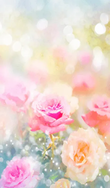 [LINE着せ替え] 薔薇(バラ)の花の着せかえ(R2392)の画像1